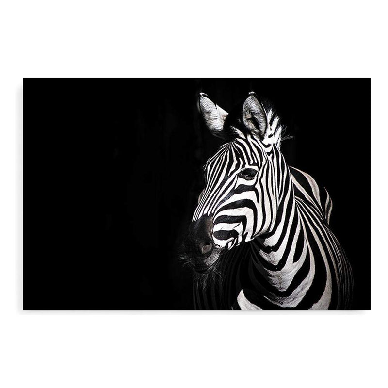 A Zebra's Stipes-The Paper Tree-africa,african,animal,black,black & white,black and white,horse,landscape,minimal,monochrome,premium art print,stripes,wall art,Wall_Art,Wall_Art_Prints,zebra