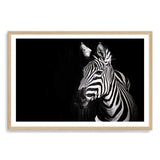 A Zebra's Stipes-The Paper Tree-africa,african,animal,black,black & white,black and white,horse,landscape,minimal,monochrome,premium art print,stripes,wall art,Wall_Art,Wall_Art_Prints,zebra