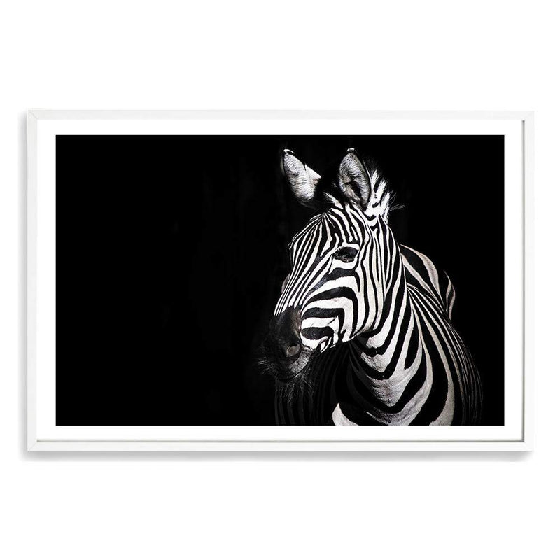 A Zebra's Stipes-The Paper Tree-africa,african,animal,black,black & white,black and white,horse,landscape,minimal,monochrome,premium art print,stripes,wall art,Wall_Art,Wall_Art_Prints,zebra