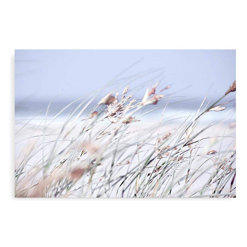 Pastel Grass-The Paper Tree-abstract,beach,blue,coastal,coastal grass,grass,hamptons,landscape,pastel,premium art print,reeds,shore,tall grass,wall art,Wall_Art,Wall_Art_Prints