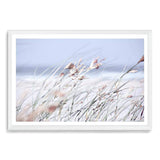 Pastel Grass-The Paper Tree-abstract,beach,blue,coastal,coastal grass,grass,hamptons,landscape,pastel,premium art print,reeds,shore,tall grass,wall art,Wall_Art,Wall_Art_Prints