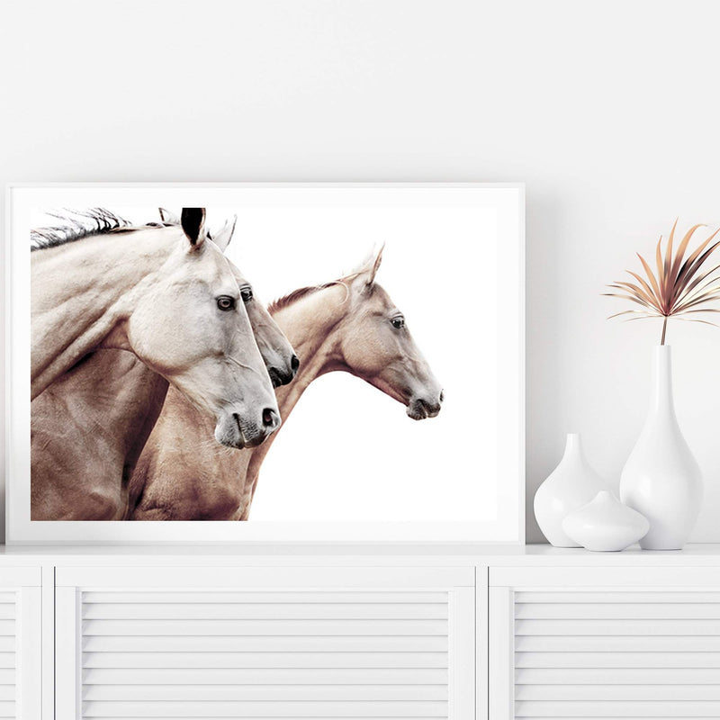 Palomino Horses-The Paper Tree-america,animal,Artwork,australia,beige,boho,cream,fawn,hamptons,horse,horses,landscape,moroccan,morocco,natural,nature,neutral,palomino,premium art print,stallion,tan,wall art,Wall_Art,Wall_Art_Prints,white