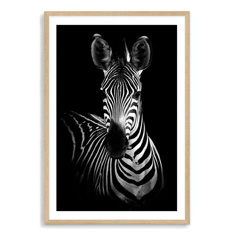 Zebra-The Paper Tree-africa,african,animal,black,black & white,horse,minimalist,monochrome,portrait,premium art print,scandi,wall art,Wall_Art,Wall_Art_Prints,zebra