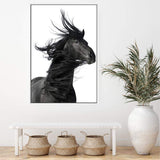 Black Horses Mane-The Paper Tree-animal,black,black & white,horse,minimalist,monochrome,moroccan,morocco,portait,premium art print,scandi,stallion,wall art,Wall_Art,Wall_Art_Prints