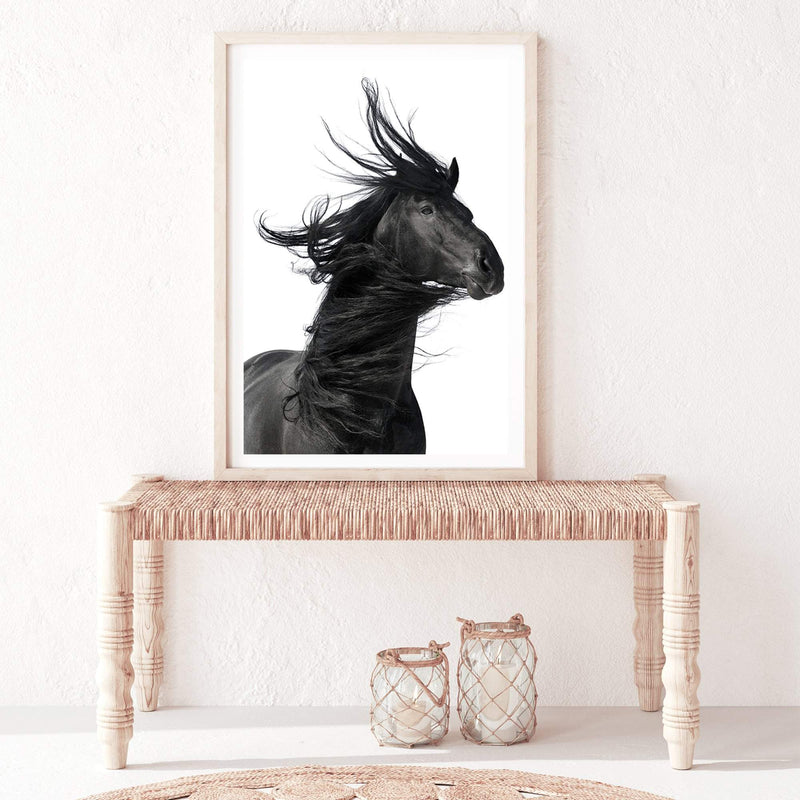 Black Horses Mane-The Paper Tree-animal,black,black & white,horse,minimalist,monochrome,moroccan,morocco,portait,premium art print,scandi,stallion,wall art,Wall_Art,Wall_Art_Prints