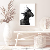 Black Horses Mane-The Paper Tree-animal,black,black & white,horse,minimalist,monochrome,moroccan,morocco,portait,premium art print,scandi,stallion,wall art,Wall_Art,Wall_Art_Prints