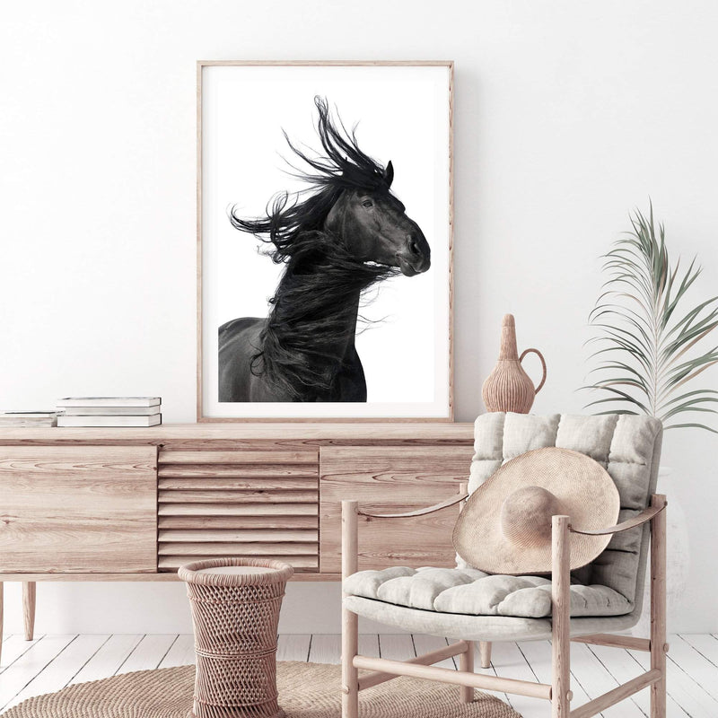 Black Horses Mane-The Paper Tree-animal,black,black & white,horse,minimalist,monochrome,moroccan,morocco,portait,premium art print,scandi,stallion,wall art,Wall_Art,Wall_Art_Prints