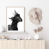 Black Horses Mane-The Paper Tree-animal,black,black & white,horse,minimalist,monochrome,moroccan,morocco,portait,premium art print,scandi,stallion,wall art,Wall_Art,Wall_Art_Prints