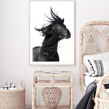 Black Horses Mane-The Paper Tree-animal,black,black & white,horse,minimalist,monochrome,moroccan,morocco,portait,premium art print,scandi,stallion,wall art,Wall_Art,Wall_Art_Prints