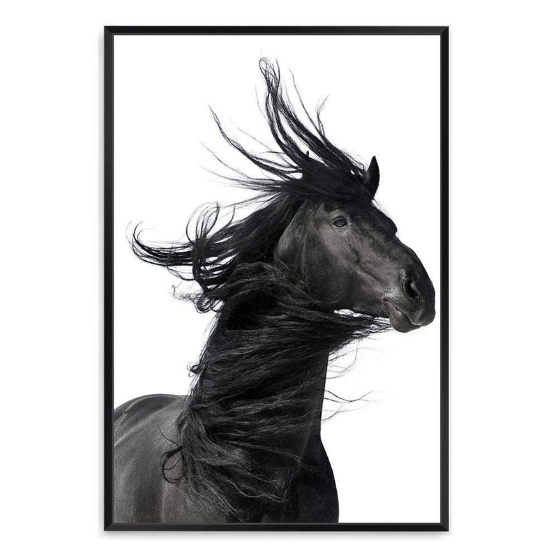 Black Horses Mane-The Paper Tree-animal,black,black & white,horse,minimalist,monochrome,moroccan,morocco,portait,premium art print,scandi,stallion,wall art,Wall_Art,Wall_Art_Prints