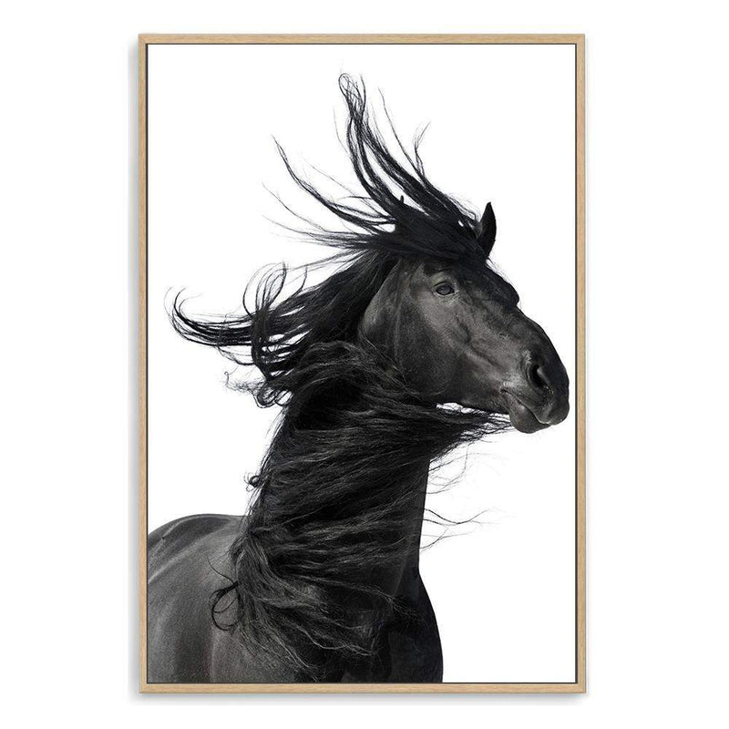 Black Horses Mane-The Paper Tree-animal,black,black & white,horse,minimalist,monochrome,moroccan,morocco,portait,premium art print,scandi,stallion,wall art,Wall_Art,Wall_Art_Prints