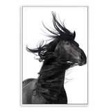 Black Horses Mane-The Paper Tree-animal,black,black & white,horse,minimalist,monochrome,moroccan,morocco,portait,premium art print,scandi,stallion,wall art,Wall_Art,Wall_Art_Prints