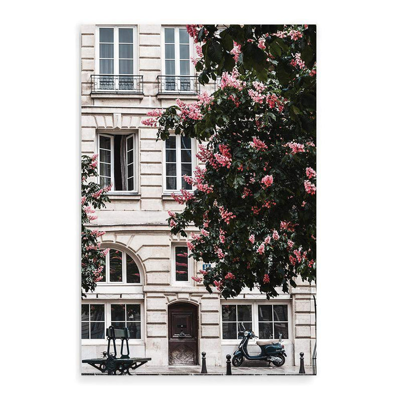 The French Facade-The Paper Tree-architecture,balcony,blossom,building,european,flowers,france,french,neutral,paris,portrait,premium art print,structure,tree,wall art,Wall_Art,Wall_Art_Prints