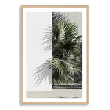 Palms Edge-The Paper Tree-abstract,america,architecture,boho,building,green,hamptons,lines,minimalist,palm frond,palm springs,plam,plam tree,portrait,premium art print,retro,scandi,vintage,wall art,Wall_Art,Wall_Art_Prints,white