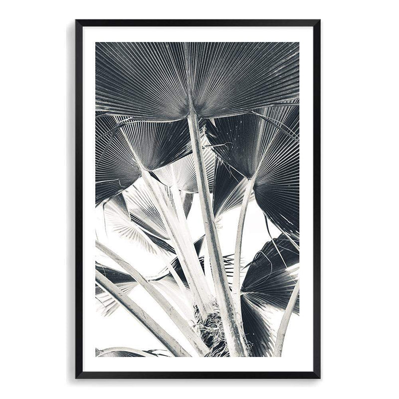 Palm Fronds-The Paper Tree-bismark palm,black & white,blue,boho,botanical,hamptons,leaf,minimalist,monochrome,palm,palm frond,palm tree,portrait,premium art print,scandi,wall art,Wall_Art,Wall_Art_Prints