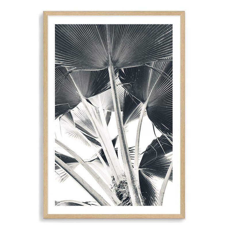 Palm Fronds-The Paper Tree-bismark palm,black & white,blue,boho,botanical,hamptons,leaf,minimalist,monochrome,palm,palm frond,palm tree,portrait,premium art print,scandi,wall art,Wall_Art,Wall_Art_Prints