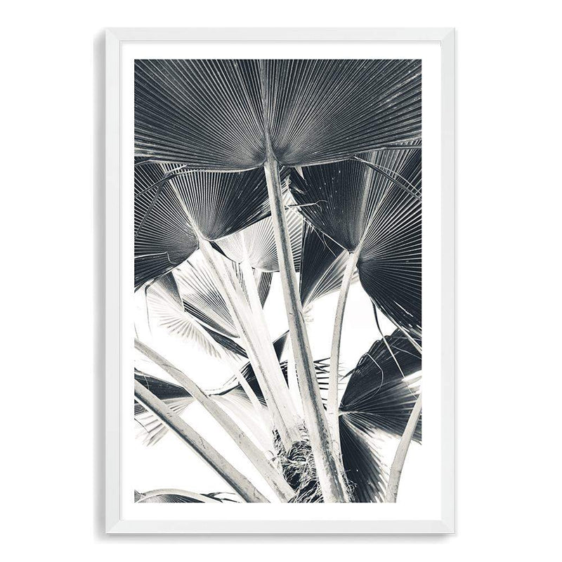 Palm Fronds-The Paper Tree-bismark palm,black & white,blue,boho,botanical,hamptons,leaf,minimalist,monochrome,palm,palm frond,palm tree,portrait,premium art print,scandi,wall art,Wall_Art,Wall_Art_Prints