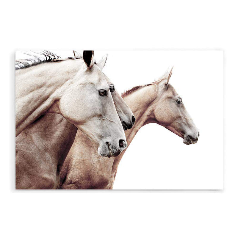 Palomino Horses-The Paper Tree-america,animal,Artwork,australia,beige,boho,cream,fawn,hamptons,horse,horses,landscape,moroccan,morocco,natural,nature,neutral,palomino,premium art print,stallion,tan,wall art,Wall_Art,Wall_Art_Prints,white