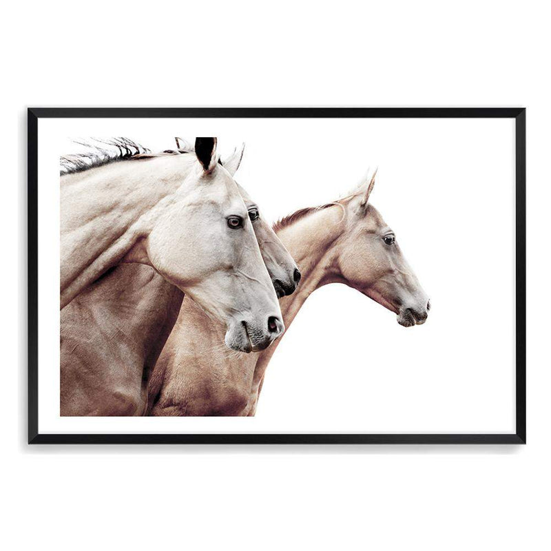 Palomino Horses-The Paper Tree-america,animal,Artwork,australia,beige,boho,cream,fawn,hamptons,horse,horses,landscape,moroccan,morocco,natural,nature,neutral,palomino,premium art print,stallion,tan,wall art,Wall_Art,Wall_Art_Prints,white