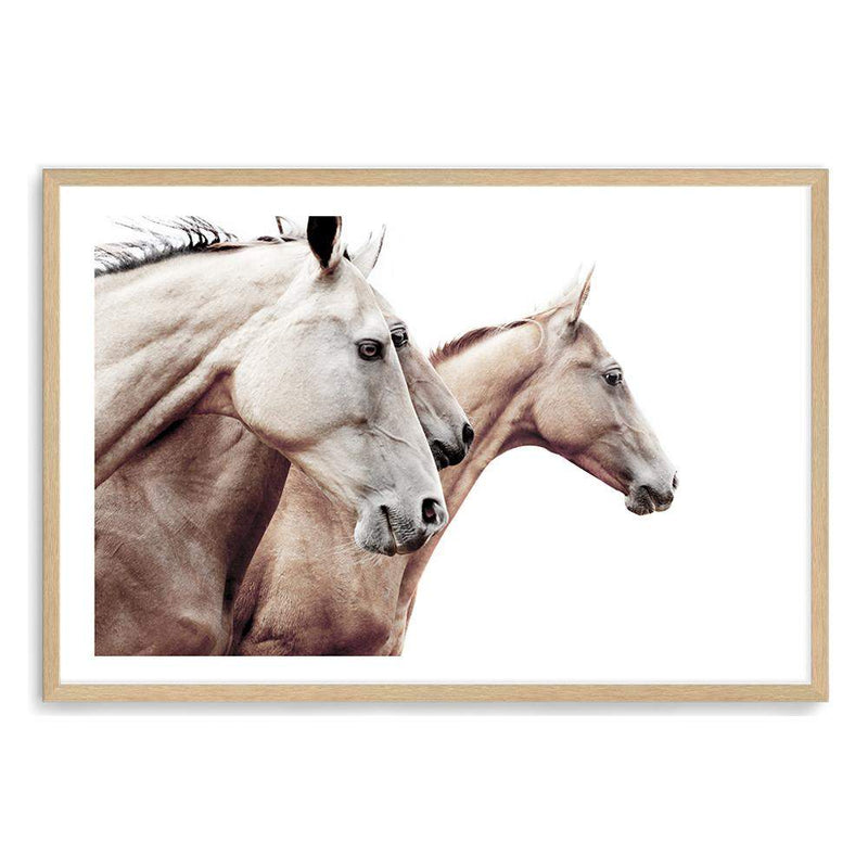 Palomino Horses-The Paper Tree-america,animal,Artwork,australia,beige,boho,cream,fawn,hamptons,horse,horses,landscape,moroccan,morocco,natural,nature,neutral,palomino,premium art print,stallion,tan,wall art,Wall_Art,Wall_Art_Prints,white