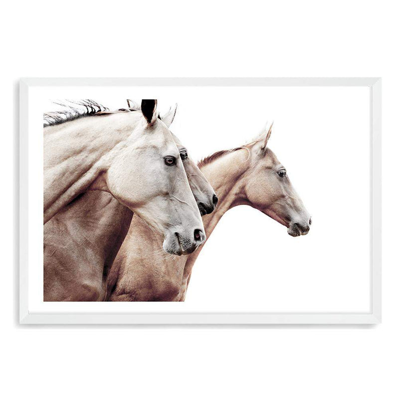 Palomino Horses-The Paper Tree-america,animal,Artwork,australia,beige,boho,cream,fawn,hamptons,horse,horses,landscape,moroccan,morocco,natural,nature,neutral,palomino,premium art print,stallion,tan,wall art,Wall_Art,Wall_Art_Prints,white