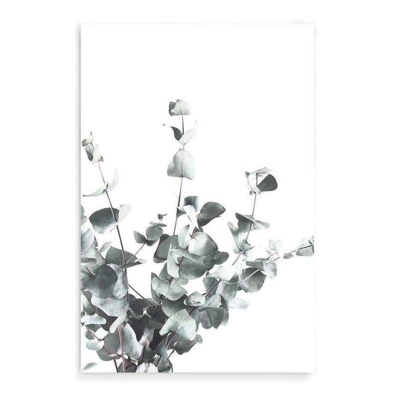 Eucalyptus Leaves-The Paper Tree-australia,australian,australian native,australiana,botanical,eucalyptus,green,gum,hamptons,leaf,leaves,minimalist,muted tone,native,portrait,premium art print,scandi,wall art,Wall_Art,Wall_Art_Prints,white