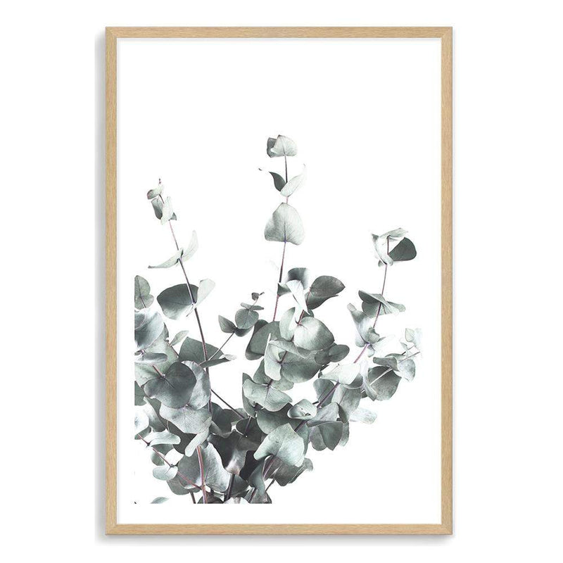 Eucalyptus Leaves-The Paper Tree-australia,australian,australian native,australiana,botanical,eucalyptus,green,gum,hamptons,leaf,leaves,minimalist,muted tone,native,portrait,premium art print,scandi,wall art,Wall_Art,Wall_Art_Prints,white