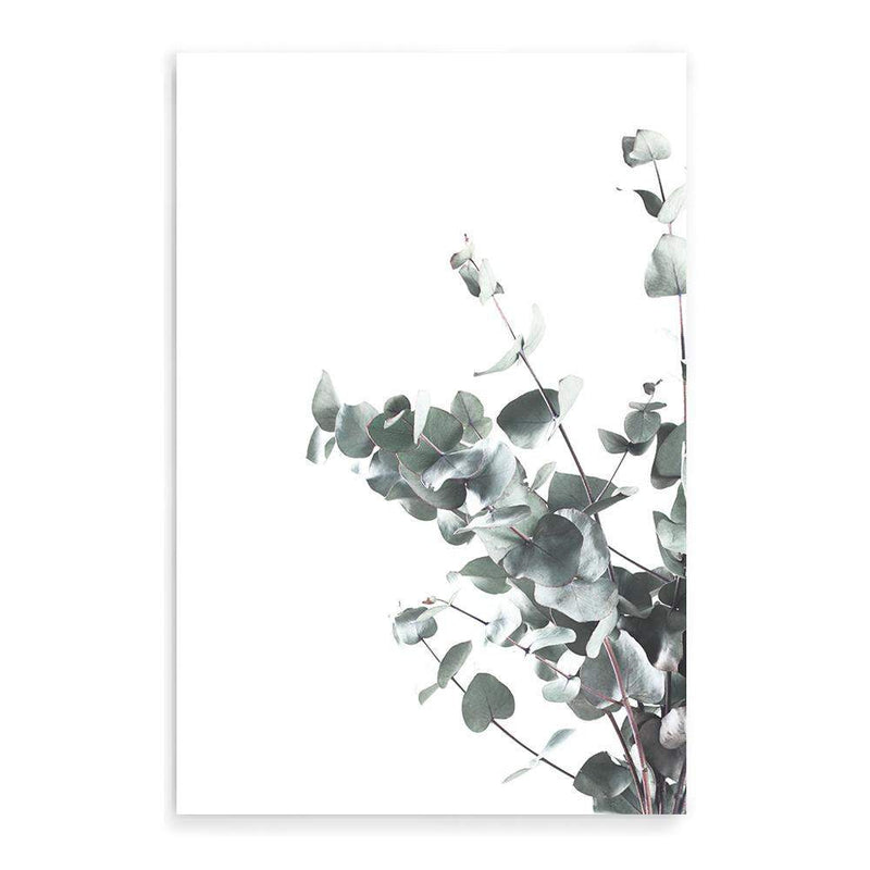 Eucalyptus Leaves II-The Paper Tree-australia,australian,australian native,australiana,botanical,eucalyptus,green,gum,hamptons,leaf,leaves,minimalist,muted tone,native,portrait,premium art print,scandi,wall art,Wall_Art,Wall_Art_Prints,white