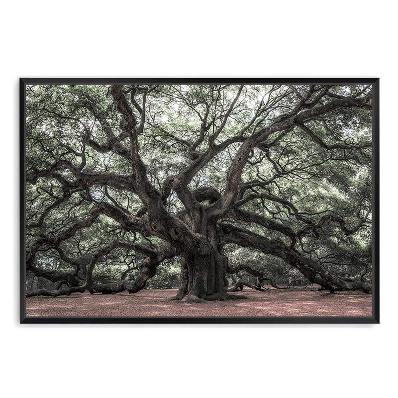 The Oak Tree-The Paper Tree-botanical,forest,landscape,leaf,leaves,magical,muted tone,nature,oak,oak tree,pathway,premium art print,tree,trees,wall art,Wall_Art,Wall_Art_Prints,woods