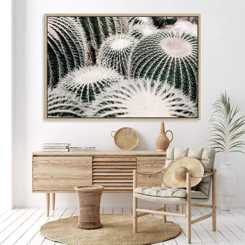 Golden Barrel Cactus-The Paper Tree-boho,botanical,cacti,cactus,cluster,desert,golden barrel cactus,green,landscape,muted tone,plant,premium art print,texas,wall art,Wall_Art,Wall_Art_Prints