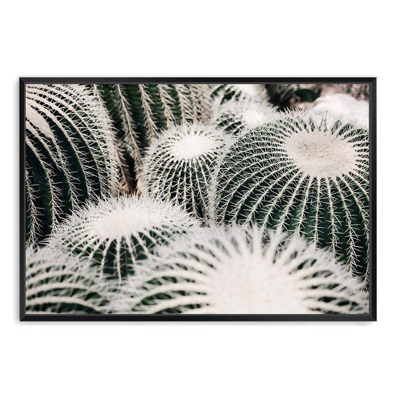 Golden Barrel Cactus-The Paper Tree-boho,botanical,cacti,cactus,cluster,desert,golden barrel cactus,green,landscape,muted tone,plant,premium art print,texas,wall art,Wall_Art,Wall_Art_Prints