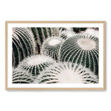 Golden Barrel Cactus-The Paper Tree-boho,botanical,cacti,cactus,cluster,desert,golden barrel cactus,green,landscape,muted tone,plant,premium art print,texas,wall art,Wall_Art,Wall_Art_Prints