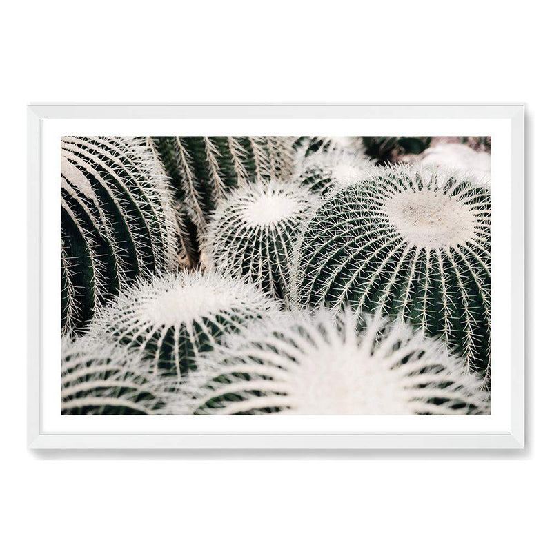 Golden Barrel Cactus-The Paper Tree-boho,botanical,cacti,cactus,cluster,desert,golden barrel cactus,green,landscape,muted tone,plant,premium art print,texas,wall art,Wall_Art,Wall_Art_Prints