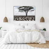 Plains Of Africa-The Paper Tree-africa,african,african animals,african tree,animals,herd,landscape,muted tone,nature,plains,premium art print,tree,wall art,Wall_Art,Wall_Art_Prints