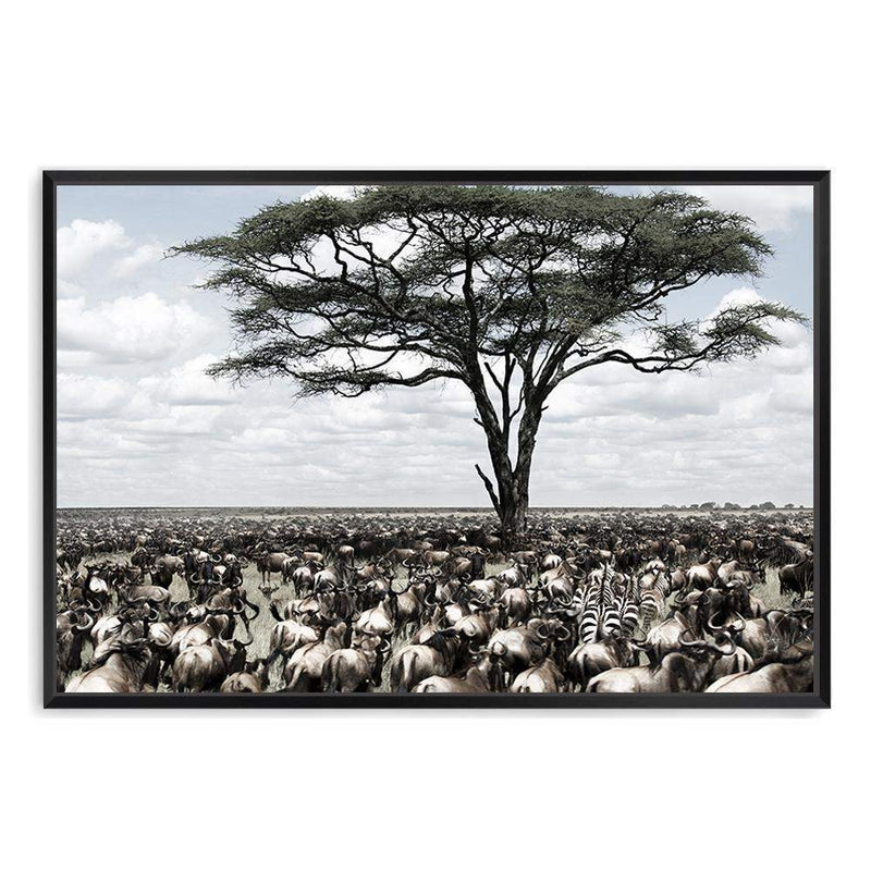 Plains Of Africa-The Paper Tree-africa,african,african animals,african tree,animals,herd,landscape,muted tone,nature,plains,premium art print,tree,wall art,Wall_Art,Wall_Art_Prints