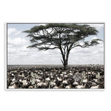 Plains Of Africa-The Paper Tree-africa,african,african animals,african tree,animals,herd,landscape,muted tone,nature,plains,premium art print,tree,wall art,Wall_Art,Wall_Art_Prints