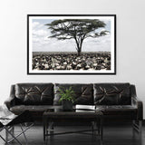 Plains Of Africa-The Paper Tree-africa,african,african animals,african tree,animals,herd,landscape,muted tone,nature,plains,premium art print,tree,wall art,Wall_Art,Wall_Art_Prints