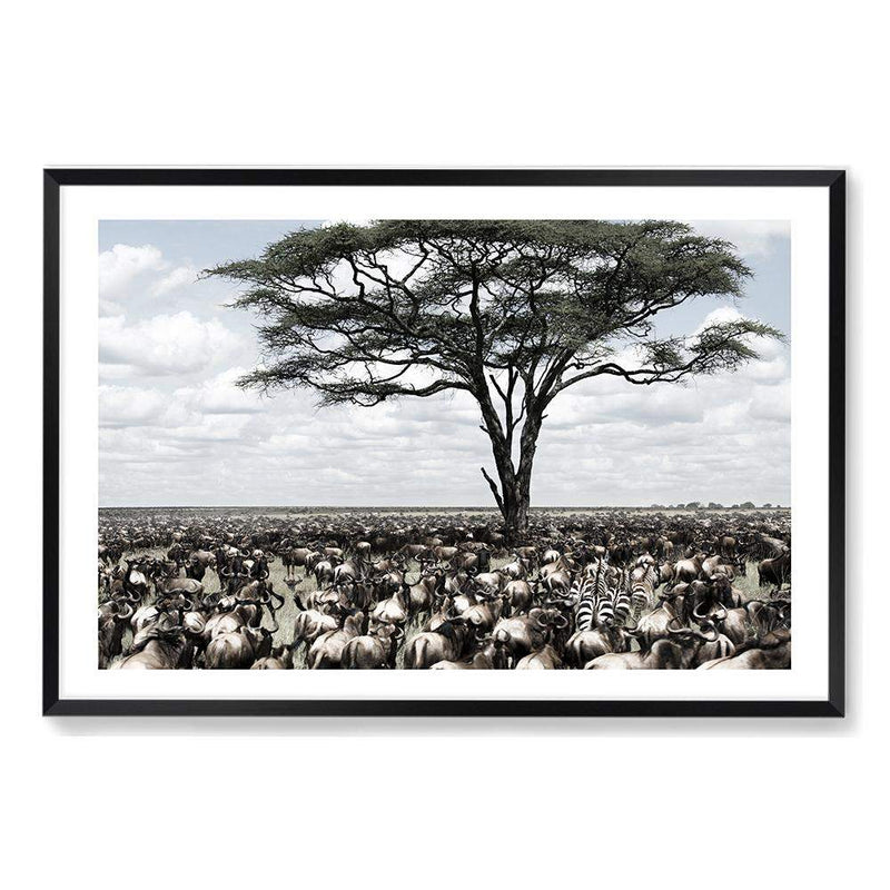 Plains Of Africa-The Paper Tree-africa,african,african animals,african tree,animals,herd,landscape,muted tone,nature,plains,premium art print,tree,wall art,Wall_Art,Wall_Art_Prints