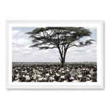 Plains Of Africa-The Paper Tree-africa,african,african animals,african tree,animals,herd,landscape,muted tone,nature,plains,premium art print,tree,wall art,Wall_Art,Wall_Art_Prints