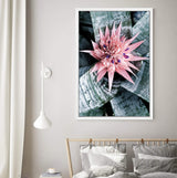 Pink Bromeliad Flower-The Paper Tree-botanical,bromeliad,bromeliad flower,floral,flower,flowers,pink bromeliad,portrait,premium art print,wall art,Wall_Art,Wall_Art_Prints