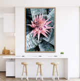 Pink Bromeliad Flower-The Paper Tree-botanical,bromeliad,bromeliad flower,floral,flower,flowers,pink bromeliad,portrait,premium art print,wall art,Wall_Art,Wall_Art_Prints