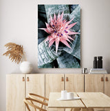 Pink Bromeliad Flower-The Paper Tree-botanical,bromeliad,bromeliad flower,floral,flower,flowers,pink bromeliad,portrait,premium art print,wall art,Wall_Art,Wall_Art_Prints