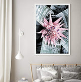 Pink Bromeliad Flower II-The Paper Tree-floral,flower,flowers,peach,portrait,premium art print,wall art,Wall_Art,Wall_Art_Prints,waratah,waratah flower