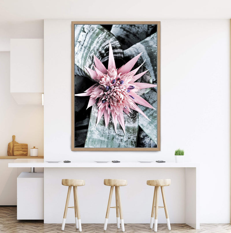 Pink Bromeliad Flower II-The Paper Tree-floral,flower,flowers,peach,portrait,premium art print,wall art,Wall_Art,Wall_Art_Prints,waratah,waratah flower