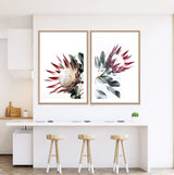 Set of 2 - Red King Protea  & No.2-The Paper Tree-Artwork,Floral,floral art print,floral art prints,floral artwork,floral print,flower,flower print,flower print sets,flowers,portrait,premium art print,protea,protea flower,protea flowers,protea print,red,red flower,red protea,red protea flower,wall art,Wall_Art,Wall_Art_Prints,wild flower,wild flowers