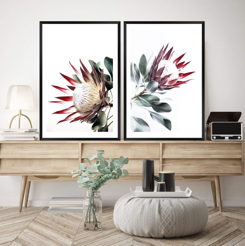 Set of 2 - Red King Protea  & No.2-The Paper Tree-Artwork,Floral,floral art print,floral art prints,floral artwork,floral print,flower,flower print,flower print sets,flowers,portrait,premium art print,protea,protea flower,protea flowers,protea print,red,red flower,red protea,red protea flower,wall art,Wall_Art,Wall_Art_Prints,wild flower,wild flowers