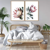 Set of 2 - Red King Protea  & No.2-The Paper Tree-Artwork,Floral,floral art print,floral art prints,floral artwork,floral print,flower,flower print,flower print sets,flowers,portrait,premium art print,protea,protea flower,protea flowers,protea print,red,red flower,red protea,red protea flower,wall art,Wall_Art,Wall_Art_Prints,wild flower,wild flowers