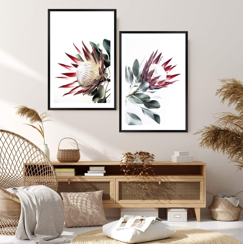 Set of 2 - Red King Protea  & No.2-The Paper Tree-Artwork,Floral,floral art print,floral art prints,floral artwork,floral print,flower,flower print,flower print sets,flowers,portrait,premium art print,protea,protea flower,protea flowers,protea print,red,red flower,red protea,red protea flower,wall art,Wall_Art,Wall_Art_Prints,wild flower,wild flowers