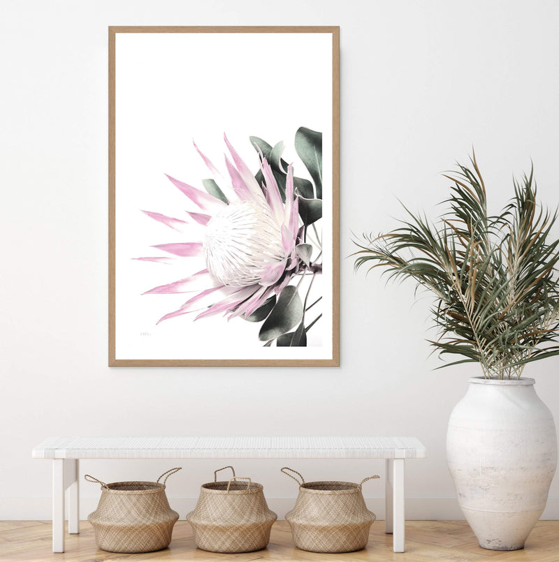 Pink Protea-The Paper Tree-dusty pink,floral,flower,flowers,pink flower,pink protea,portrait,premium art print,protea,protea flower,protea flowers,wall art,Wall_Art,Wall_Art_Prints