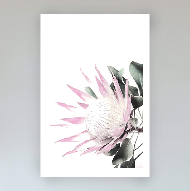 Set of 2 - Pink Protea  & No.2-The Paper Tree-Artwork,Floral,floral print,flower,flower print,flower print sets,flowers,pastel,pastel pink,peonies flower,pink,pink flower,pink protea,pink protea flower,portrait,premium art print,protea,protea artwork,protea flower,protea flowers,protea print,wall art,Wall_Art,Wall_Art_Prints,wild flower,wild flowers